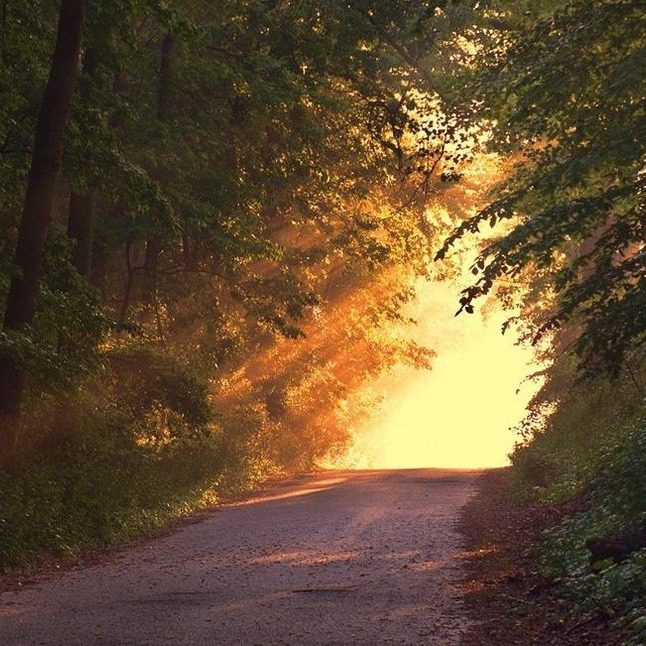 Photo de Monsieur Santo BONANNO